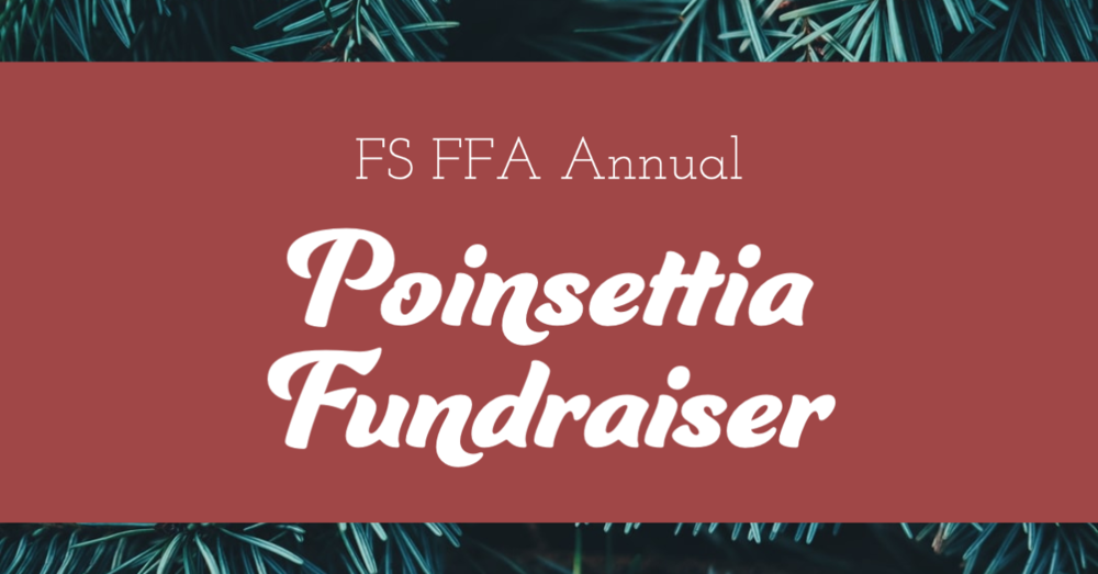 Annual Poinsettia Fundraiser